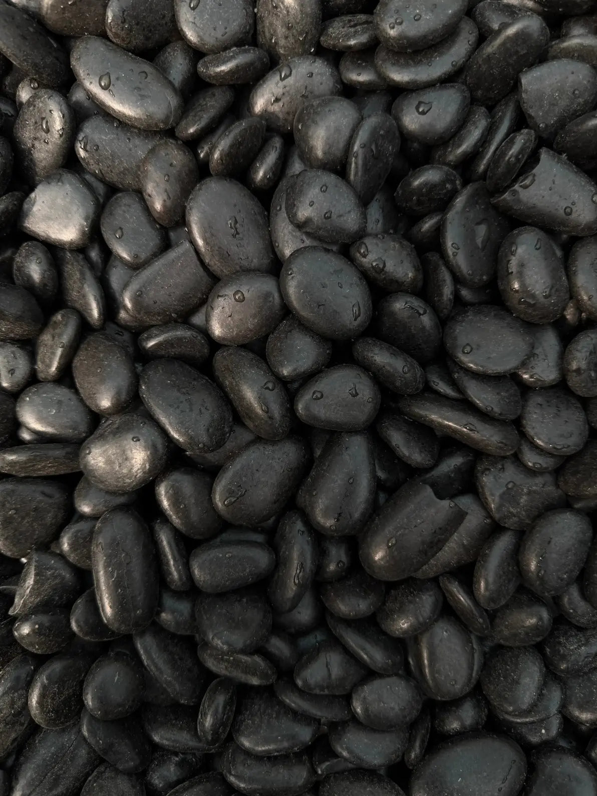 Shiny Black Stones, smooth polished pebbles for sophisticated landscaping and stylish pot arrangements in Dubai.