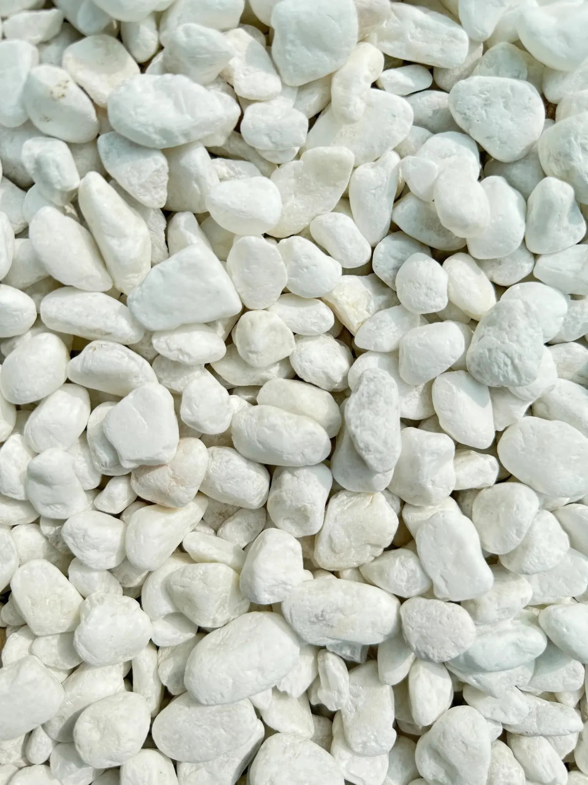 Snow White Pebbles, elegant decorative stones for modern landscaping and stylish pot arrangements in Dubai.
